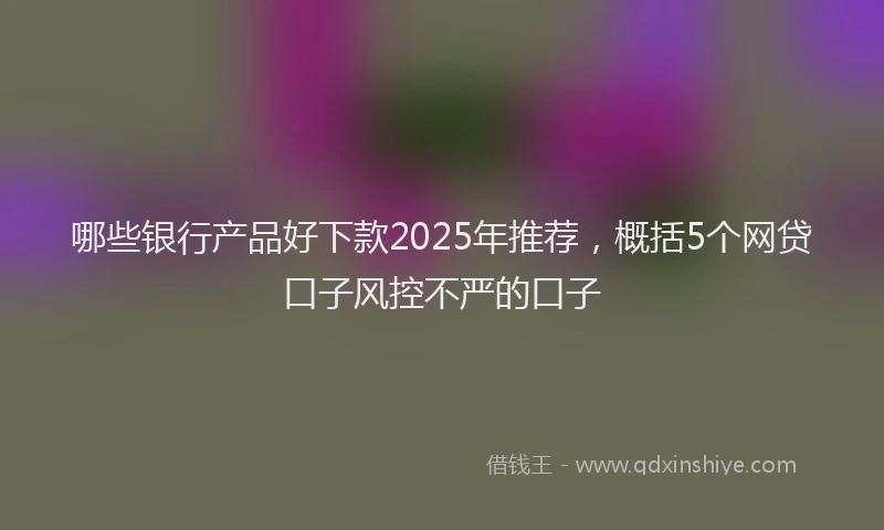 哪些银行产品好下款2025年推荐，概括5个网贷口子风控不严的口子