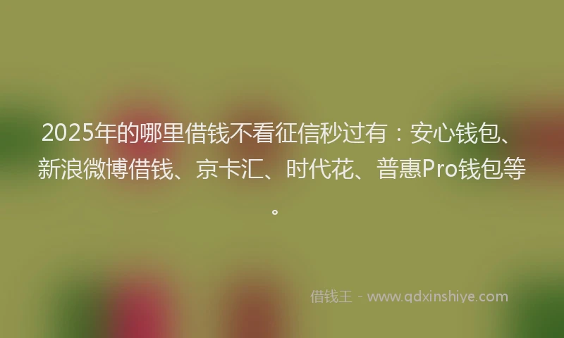 2025年的哪里借钱不看征信秒过有：安心钱包、新浪微博借钱、京卡汇、时代花、普惠Pro钱包等。