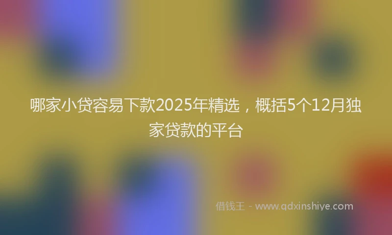 哪家小贷容易下款2025年精选，概括5个12月独家贷款的平台