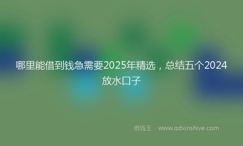 哪里能借到钱急需要2025年精选，总结五个2024放水口子