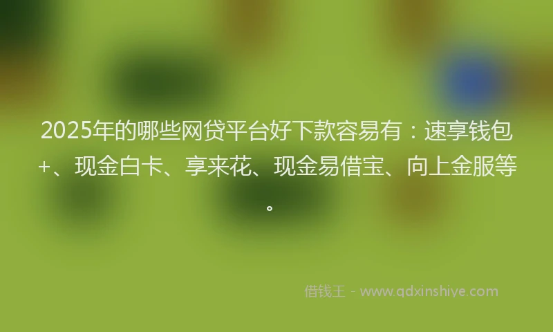 2025年的哪些网贷平台好下款容易有：速享钱包+、现金白卡、享来花、现金易借宝、向上金服等。