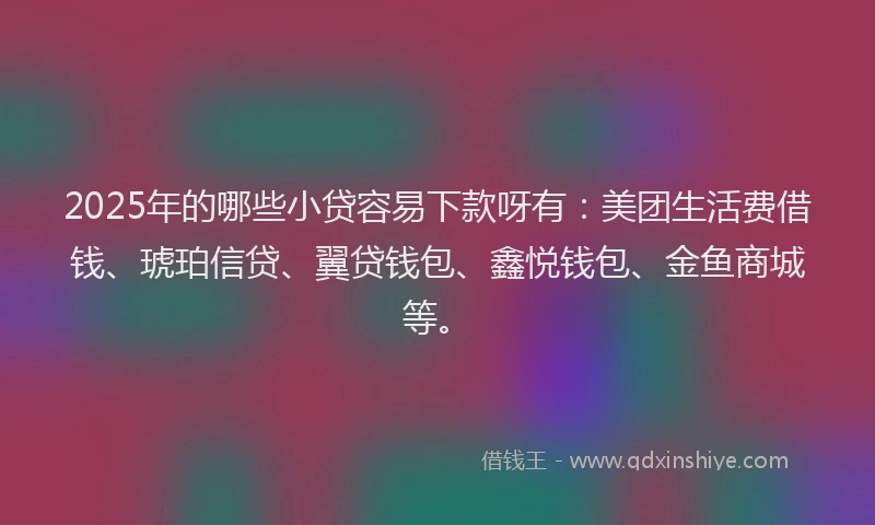2025年的哪些小贷容易下款呀有：美团生活费借钱、琥珀信贷、翼贷钱包、鑫悦钱包、金鱼商城等。