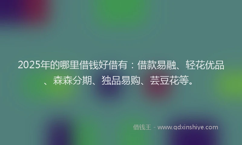 2025年的哪里借钱好借有：借款易融、轻花优品、森森分期、独品易购、芸豆花等。