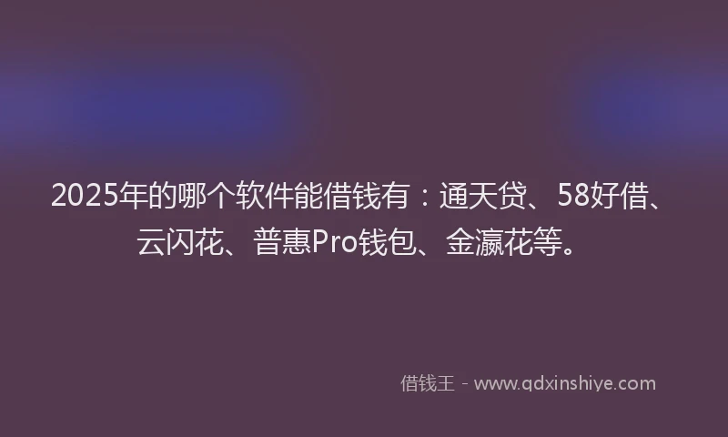 2025年的哪个软件能借钱有：通天贷、58好借、云闪花、普惠Pro钱包、金瀛花等。