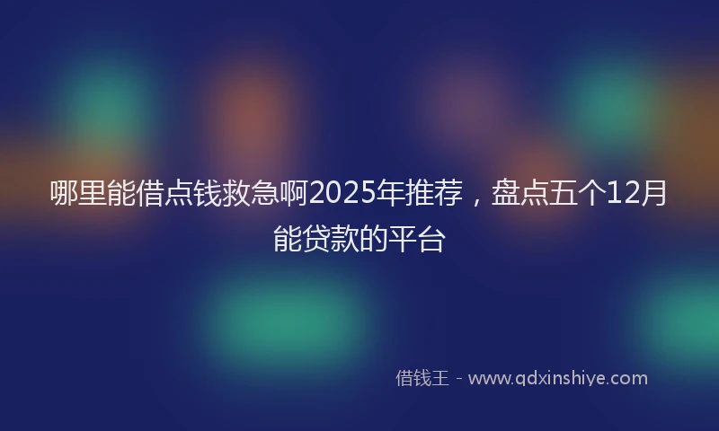 哪里能借点钱救急啊2025年推荐，盘点五个12月能贷款的平台