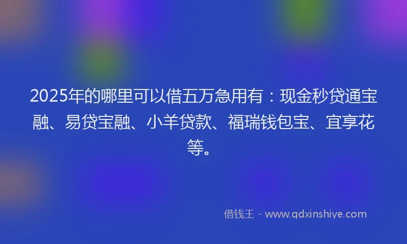 2025年的哪里可以借五万急用有:现金秒贷通宝融、易贷宝融、小羊贷款、福瑞钱包宝、宜享花等。