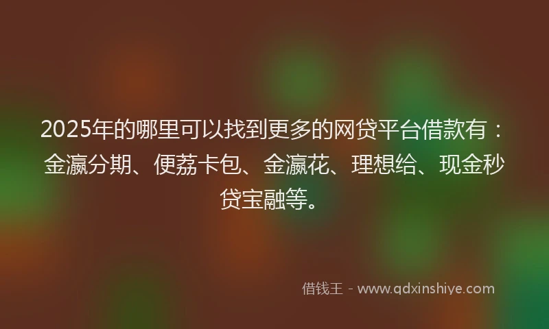 2025年的哪里可以找到更多的网贷平台借款有：金瀛分期、便荔卡包、金瀛花、理想给、现金秒贷宝融等。