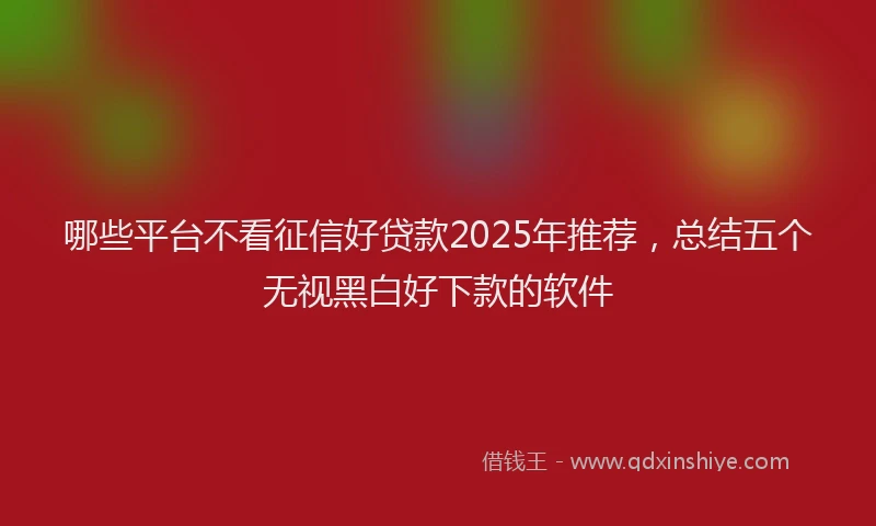 哪些平台不看征信好贷款2025年推荐，总结五个无视黑白好下款的软件