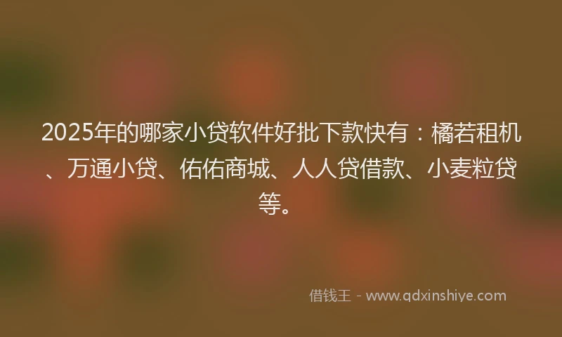 2025年的哪家小贷软件好批下款快有：橘若租机、万通小贷、佑佑商城、人人贷借款、小麦粒贷等。