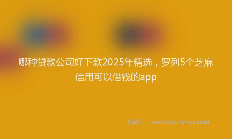 哪种贷款公司好下款2025年精选，罗列5个芝麻信用可以借钱的app