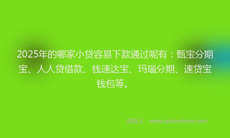 2025年的哪家小贷容易下款通过呢有：甄宝分期宝、人人贷借款、钱速达宝、玛瑙分期、速贷宝钱包等。