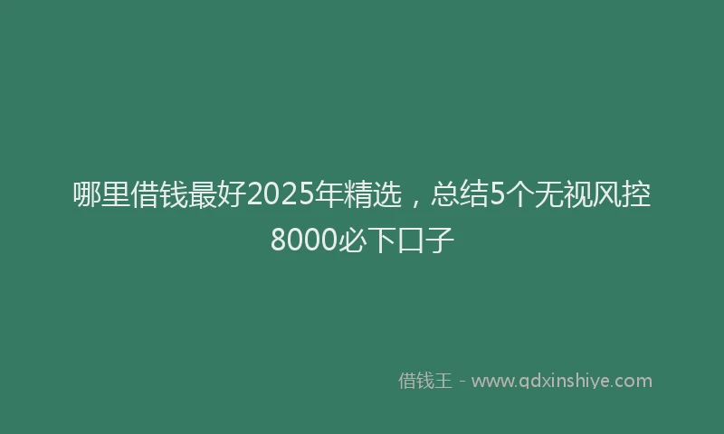 哪里借钱最好2025年精选，总结5个无视风控8000必下口子