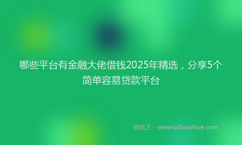 哪些平台有金融大佬借钱2025年精选，分享5个简单容易贷款平台