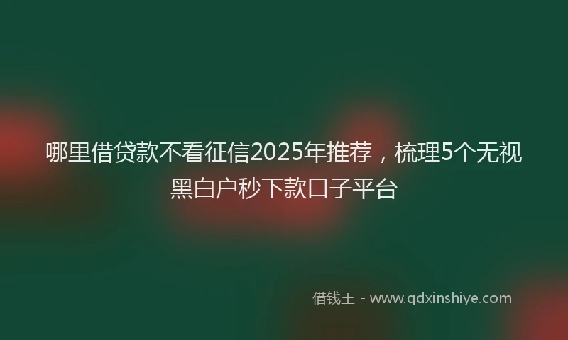 哪里借贷款不看征信2025年推荐，梳理5个无视黑白户秒下款口子平台