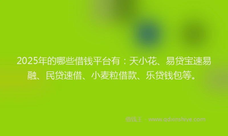 2025年的哪些借钱平台有：天小花、易贷宝速易融、民贷速借、小麦粒借款、乐贷钱包等。