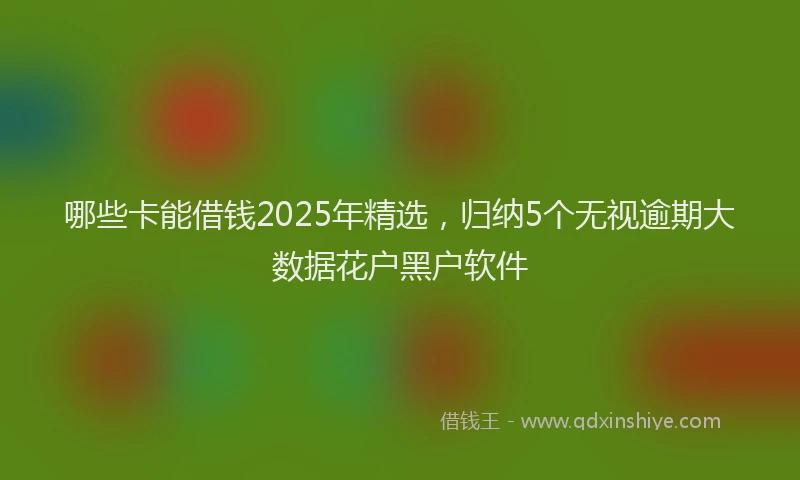 哪些卡能借钱2025年精选，归纳5个无视逾期大数据花户黑户软件