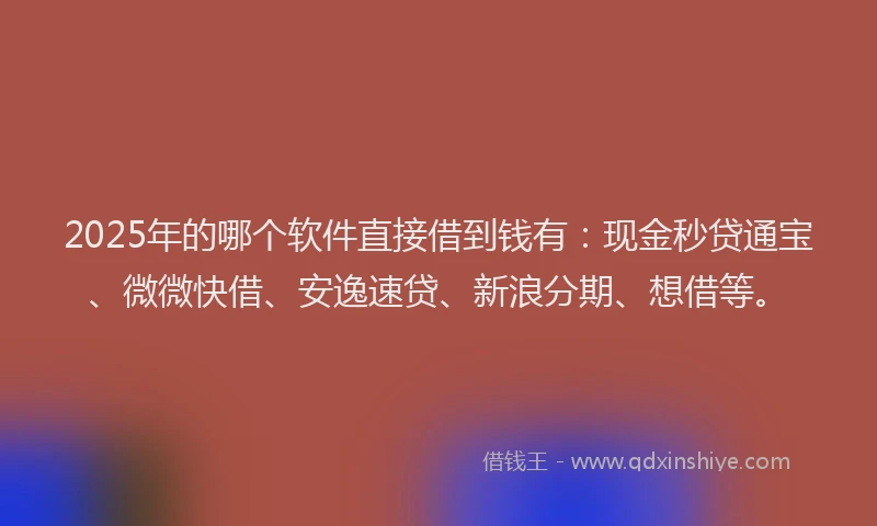 2025年的哪个软件直接借到钱有：现金秒贷通宝、微微快借、安逸速贷、新浪分期、想借等。