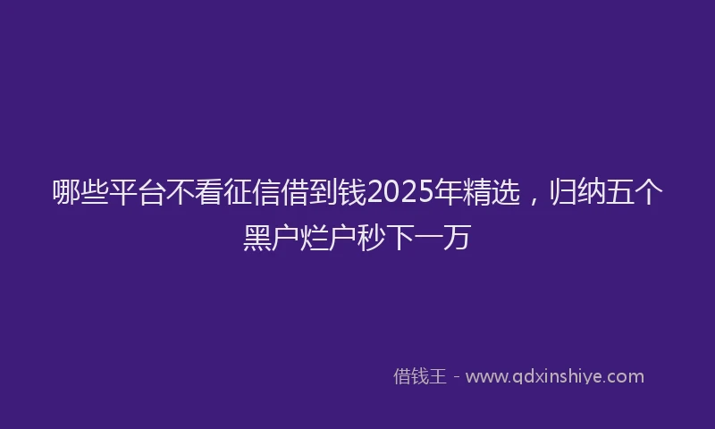 哪些平台不看征信借到钱2025年精选，归纳五个黑户烂户秒下一万