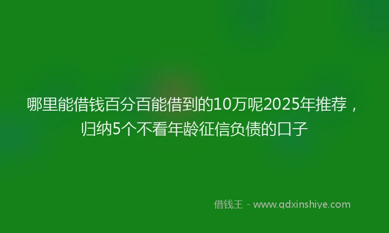 哪里能借钱百分百能借到的10万呢2025年推荐，归纳5个不看年龄征信负债的口子