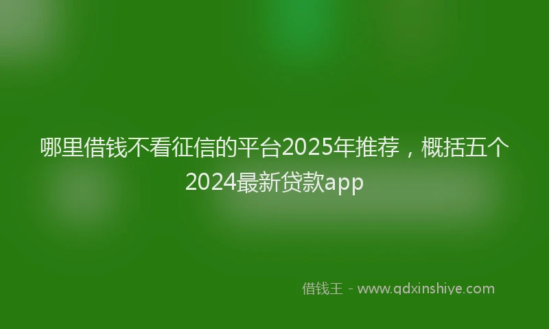 哪里借钱不看征信的平台2025年推荐，概括五个2024最新贷款app