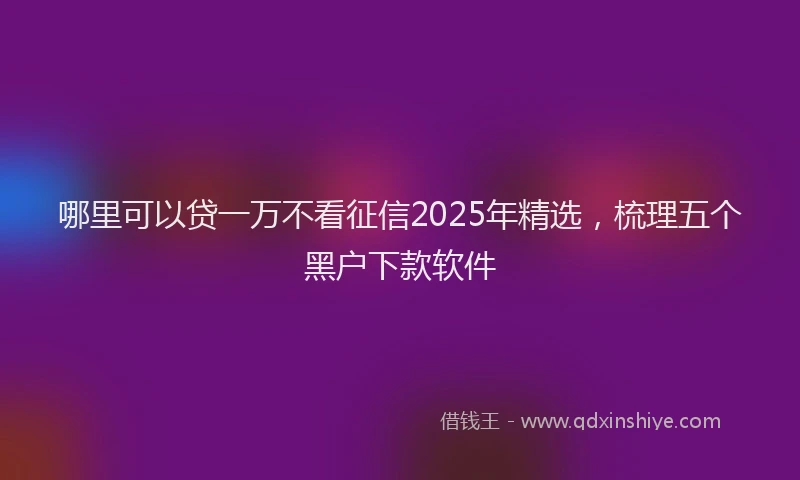 哪里可以贷一万不看征信2025年精选，梳理五个黑户下款软件