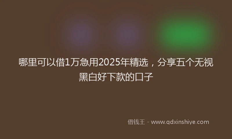 哪里可以借1万急用2025年精选，分享五个无视黑白好下款的口子