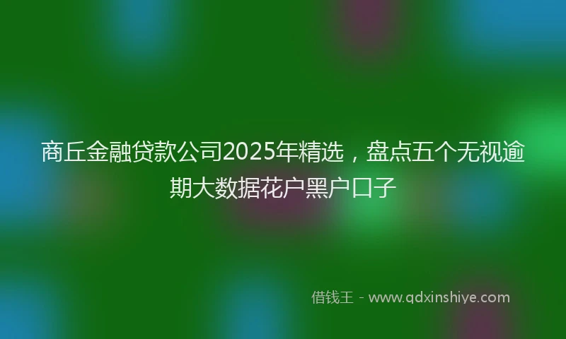 商丘金融贷款公司2025年精选，盘点五个无视逾期大数据花户黑户口子