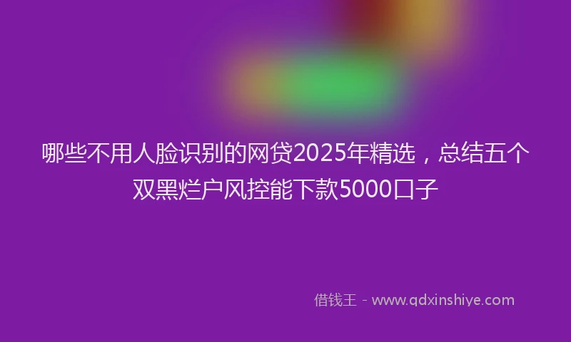 哪些不用人脸识别的网贷2025年精选，总结五个双黑烂户风控能下款5000口子