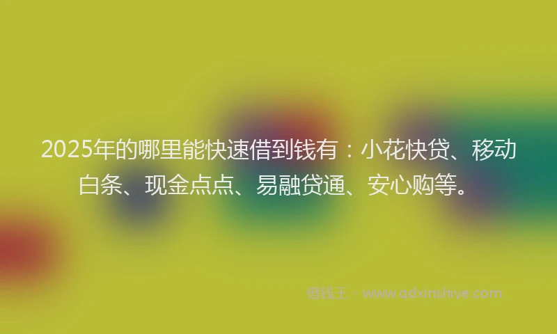 2025年的哪里能快速借到钱有：小花快贷、移动白条、现金点点、易融贷通、安心购等。