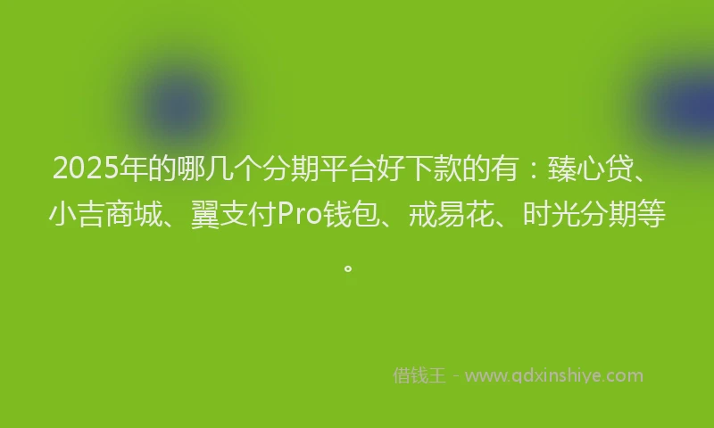 2025年的哪几个分期平台好下款的有：臻心贷、小吉商城、翼支付Pro钱包、戒易花、时光分期等。