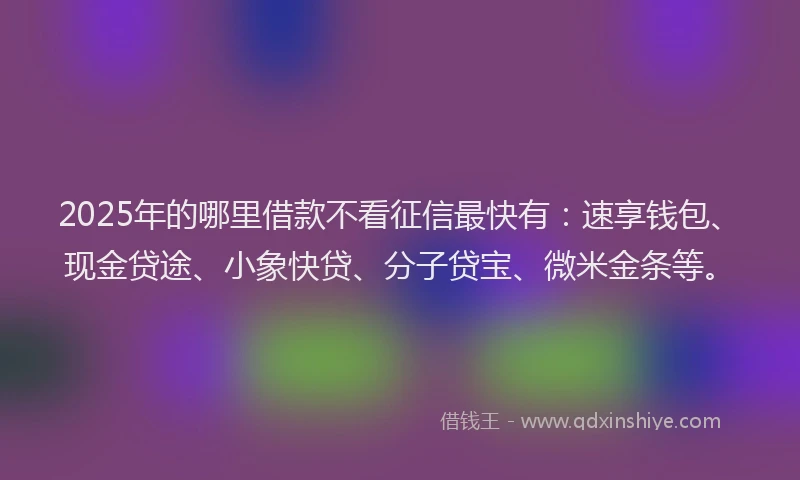 2025年的哪里借款不看征信最快有：速享钱包、现金贷途、小象快贷、分子贷宝、微米金条等。