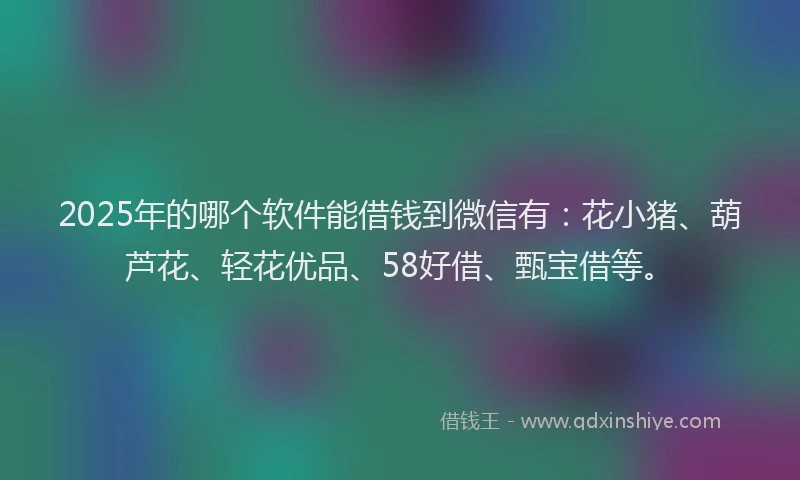2025年的哪个软件能借钱到微信有：花小猪、葫芦花、轻花优品、58好借、甄宝借等。
