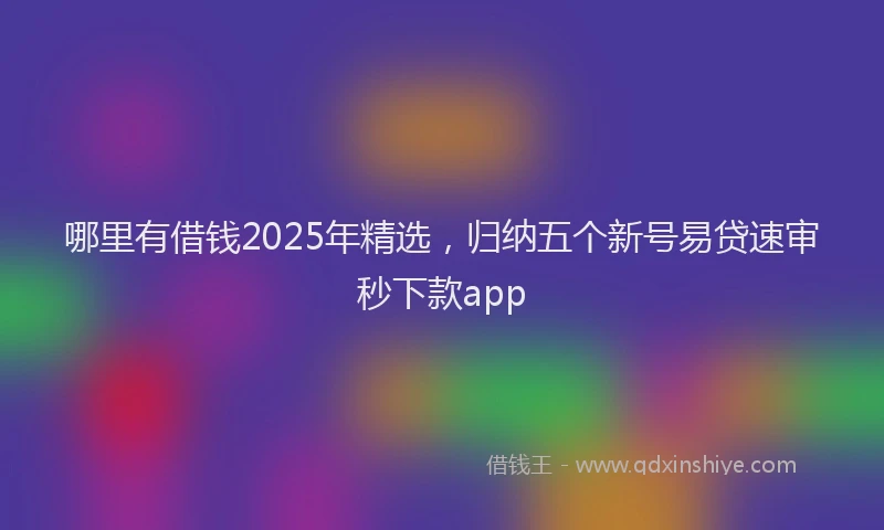 哪里有借钱2025年精选，归纳五个新号易贷速审秒下款app