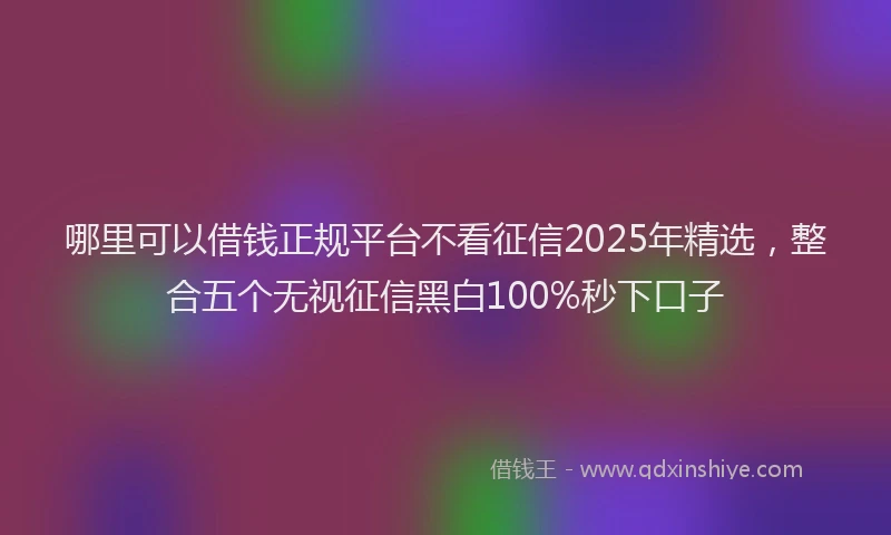哪里可以借钱正规平台不看征信2025年精选，整合五个无视征信黑白100%秒下口子