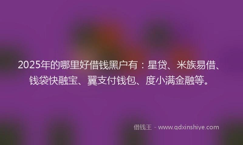 2025年的哪里好借钱黑户有：星贷、米族易借、钱袋快融宝、翼支付钱包、度小满金融等。