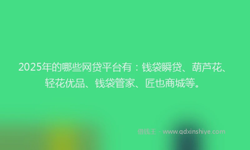 2025年的哪些网贷平台有：钱袋瞬贷、葫芦花、轻花优品、钱袋管家、匠也商城等。