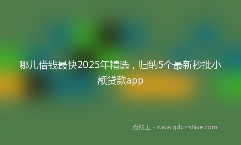 哪儿借钱最快2025年精选，归纳5个最新秒批小额贷款app