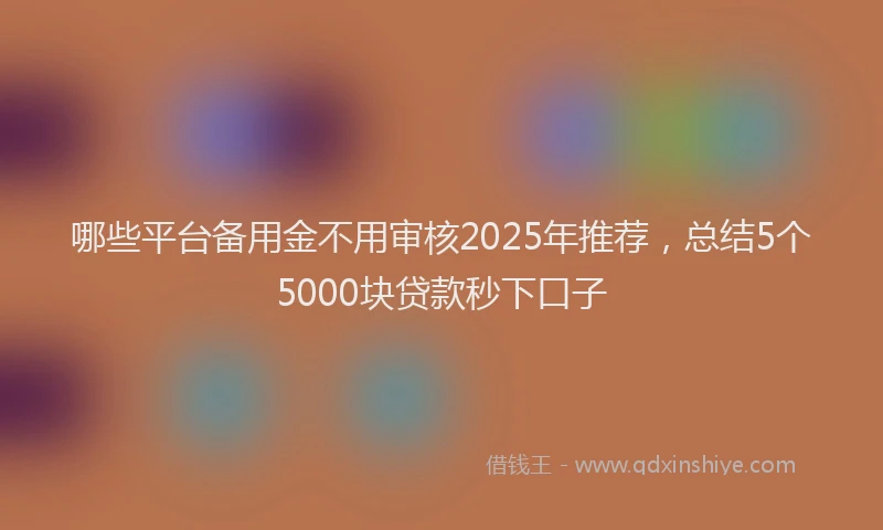 哪些平台备用金不用审核2025年推荐，总结5个5000块贷款秒下口子
