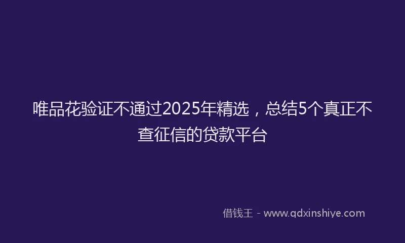唯品花验证不通过2025年精选，总结5个真正不查征信的贷款平台
