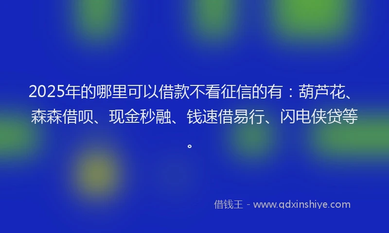 2025年的哪里可以借款不看征信的有：葫芦花、森森借呗、现金秒融、钱速借易行、闪电侠贷等。