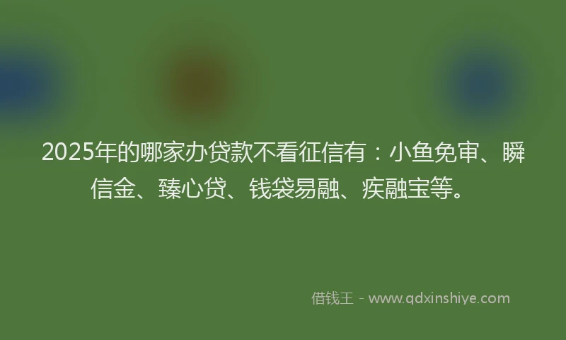 2025年的哪家办贷款不看征信有:小鱼免审、瞬信金、臻心贷、钱袋易融、疾融宝等。