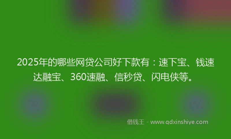 2025年的哪些网贷公司好下款有：速下宝、钱速达融宝、360速融、信秒贷、闪电侠等。