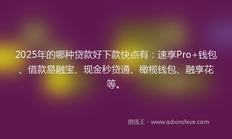 2025年的哪种贷款好下款快点有：速享Pro+钱包、借款易融宝、现金秒贷通、橄榄钱包、融享花等。