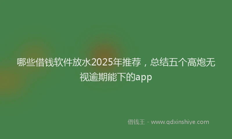 哪些借钱软件放水2025年推荐，总结五个高炮无视逾期能下的app