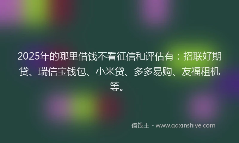2025年的哪里借钱不看征信和评估有：招联好期贷、瑞信宝钱包、小米贷、多多易购、友福租机等。