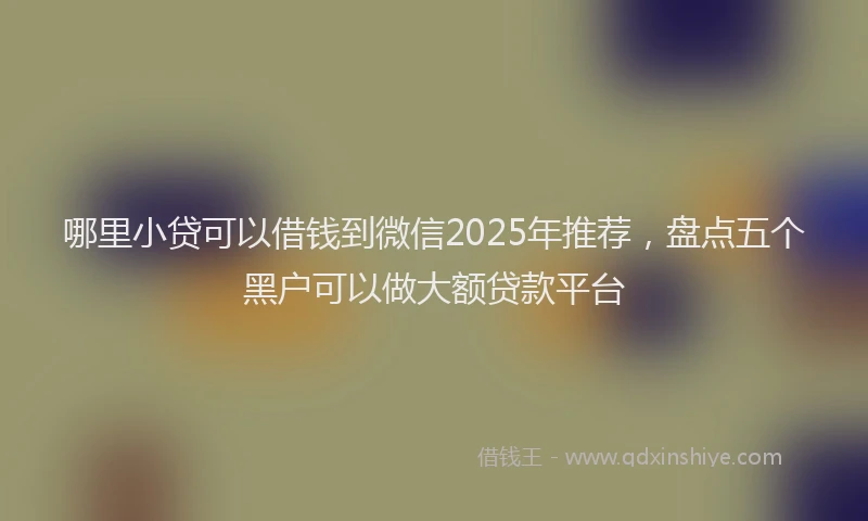 哪里小贷可以借钱到微信2025年推荐，盘点五个黑户可以做大额贷款平台