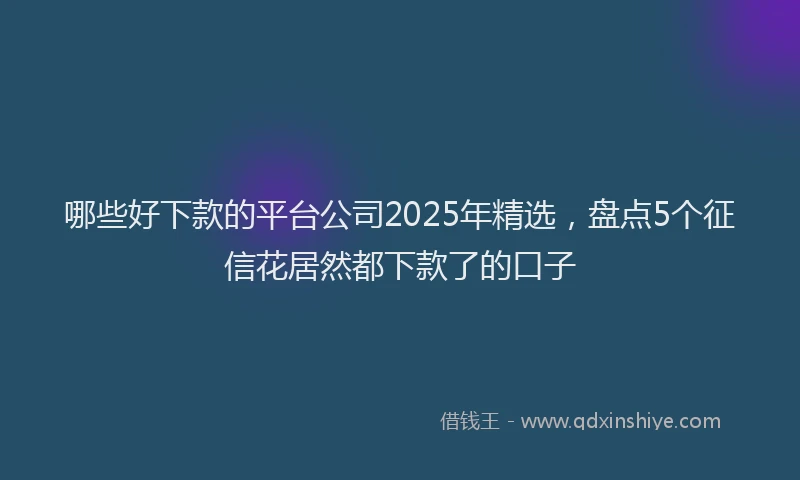 哪些好下款的平台公司2025年精选，盘点5个征信花居然都下款了的口子