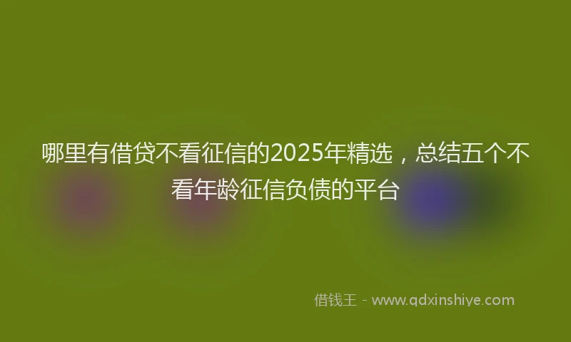 哪里有借贷不看征信的2025年精选，总结五个不看年龄征信负债的平台