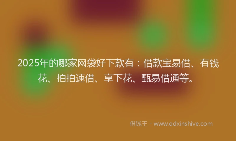 2025年的哪家网袋好下款有：借款宝易借、有钱花、拍拍速借、享下花、甄易借通等。