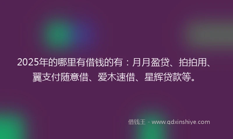 2025年的哪里有借钱的有:月月盈贷、拍拍用、翼支付随意借、爱木速借、星辉贷款等。